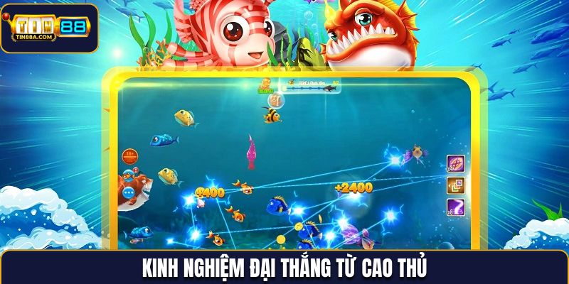 Kinh nghiệm đại thắng từ cao thủ