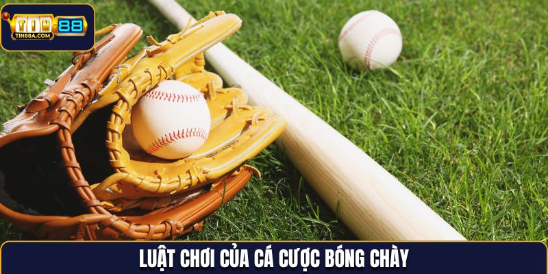 Luật chơi của cá cược bóng chày