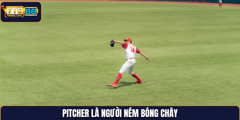Pitcher là người ném bóng chày