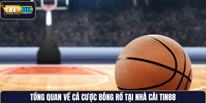 Tổng quan về cá cược bóng rổ tại nhà cái Tin88