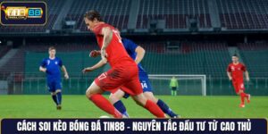 Cách soi kèo bóng đá