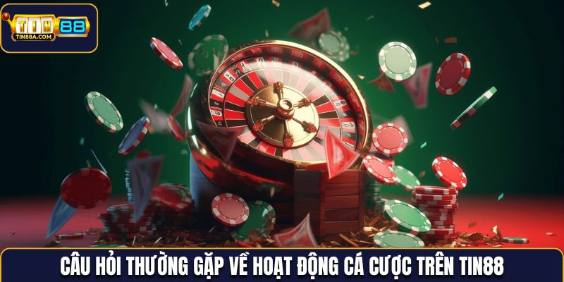 Câu hỏi thường gặp về các hoạt động cá cược trên Tin88