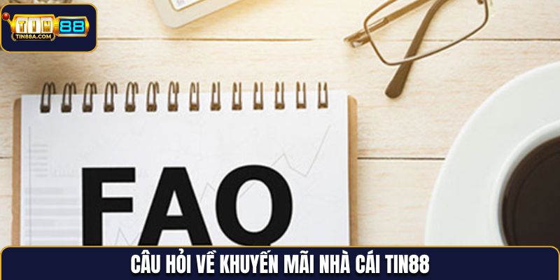 Câu hỏi về khuyến mãi của nhà cái Tin88