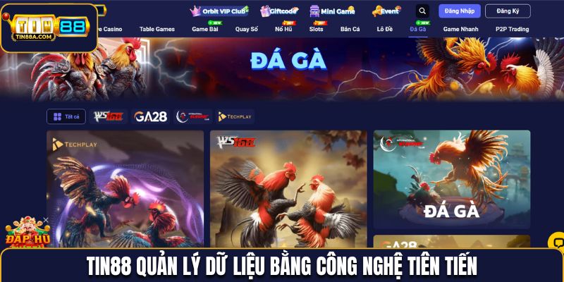 Tin88 quản lý dữ liệu bằng công nghệ tiên tiến, hiện đại