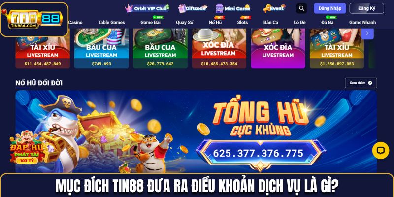 Tin88 đưa ra điều khoản dịch vụ vì mục đích gì?