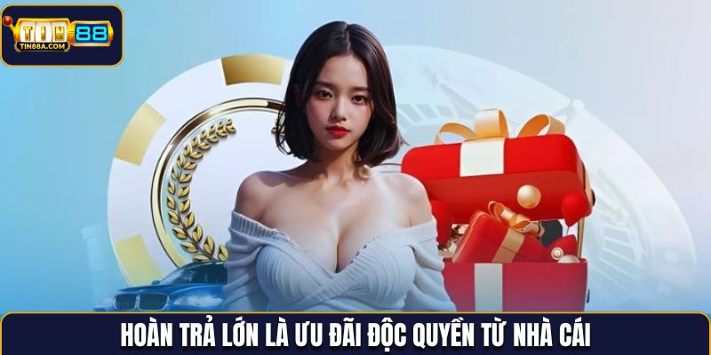 Hoàn trả lớn là ưu đãi độc quyền từ nhà cái